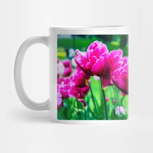 Pink tulips closeup Mug